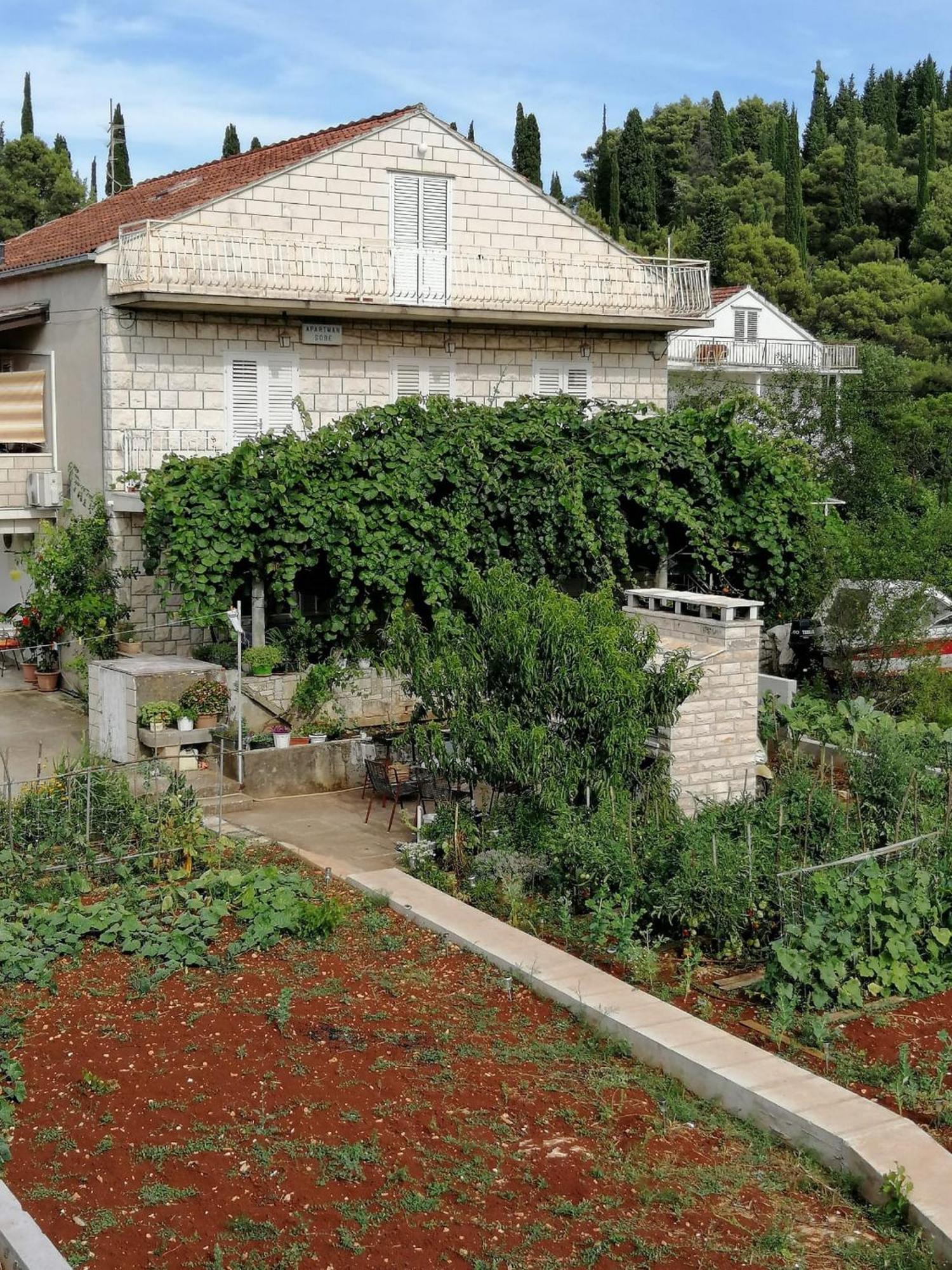 Apartments Marita Korcula Town Bilik gambar